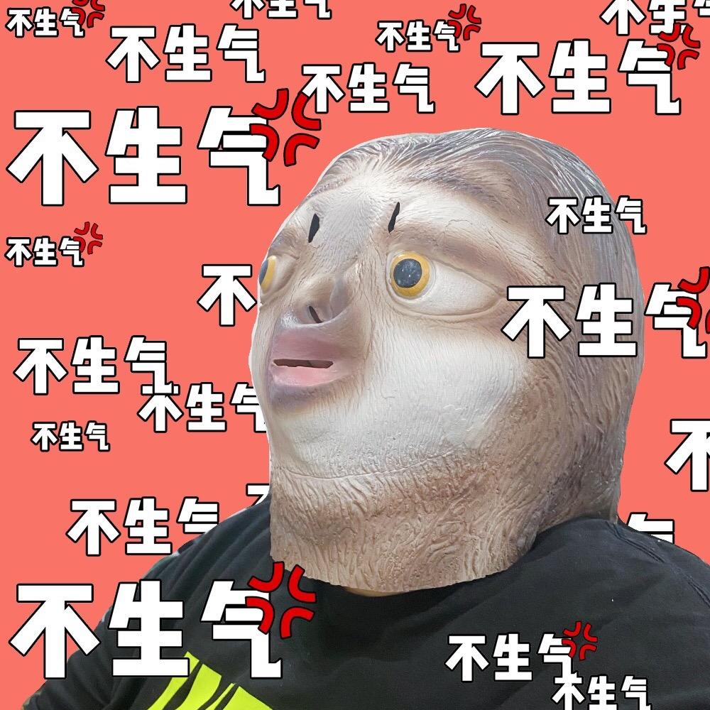 摸鱼大王王铁菊