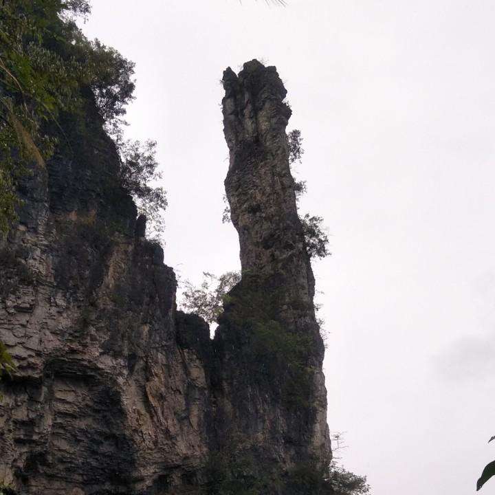 期望