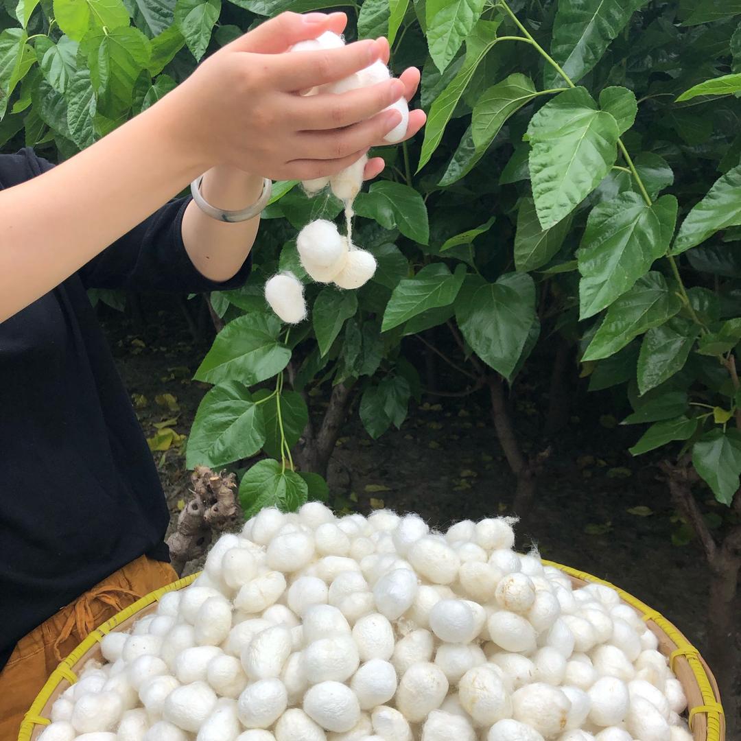 美梦缘手工蚕丝被