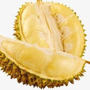 榴莲老三