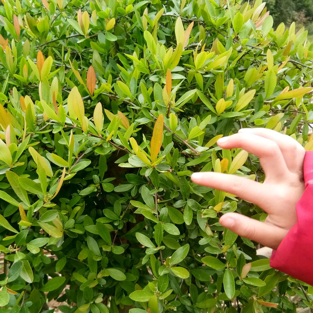时间验证人心