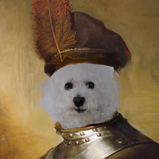 抠门儿的豆包子