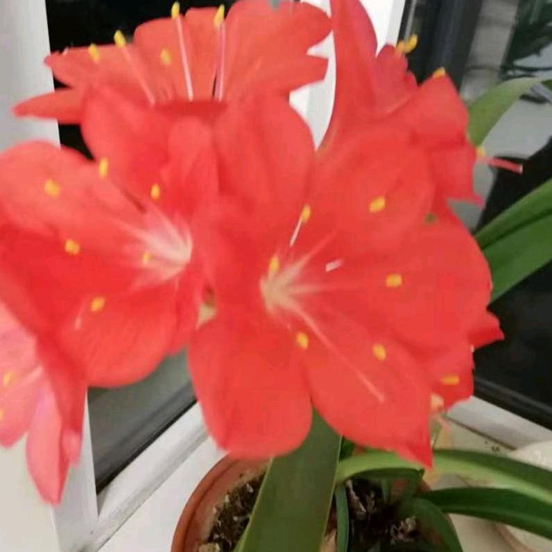 用户3398605408258开心快乐