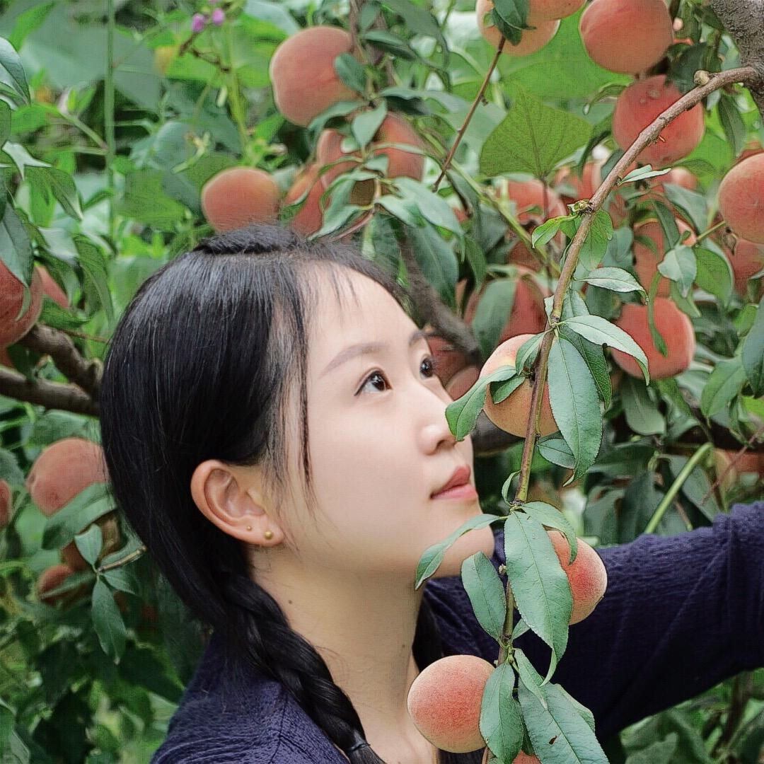 燕子娇