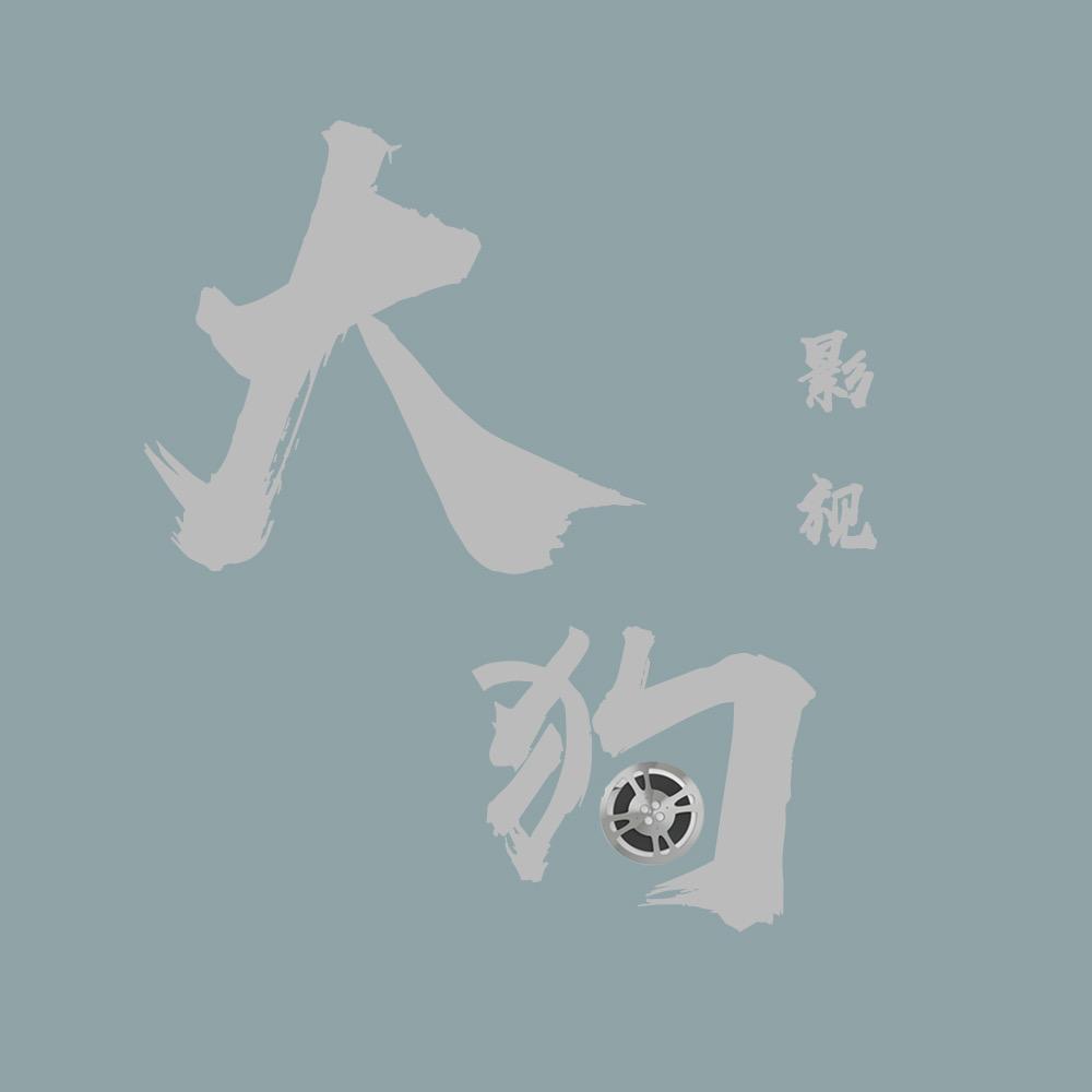 奥丹洛淋浴增压花洒喷头套装