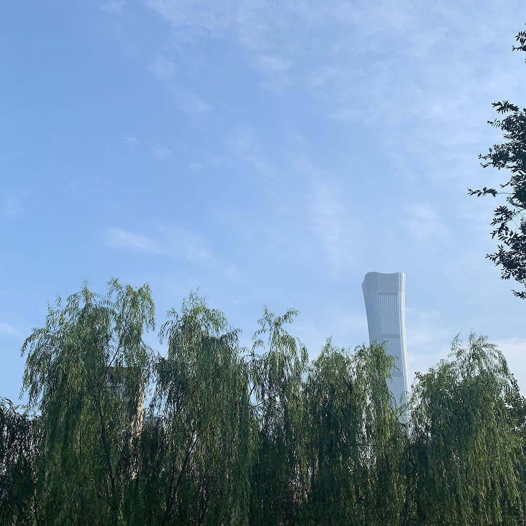 丰华正茂001