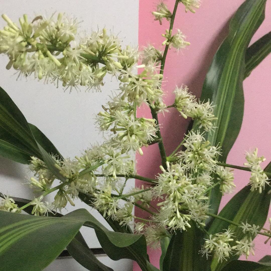 记住咱是一家人