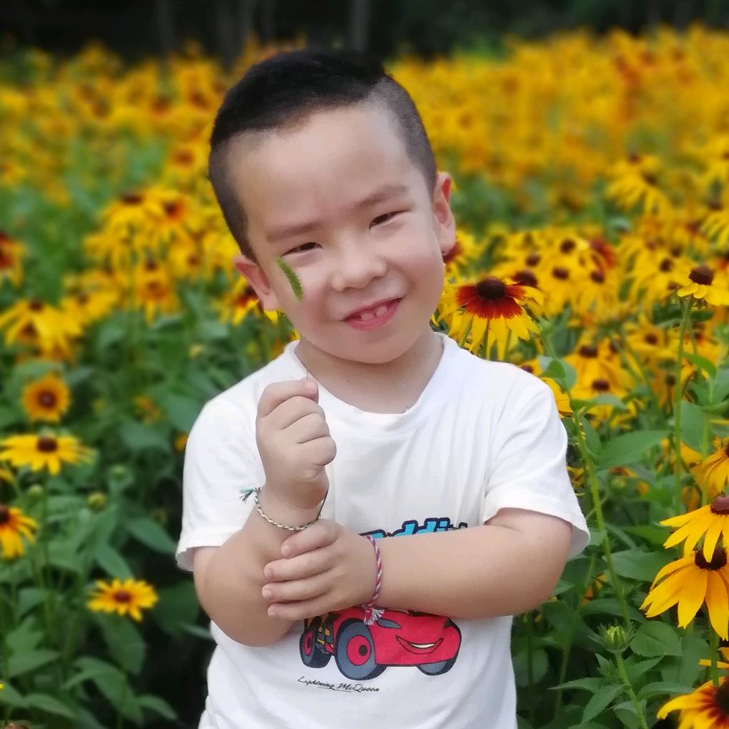 小鼠伊人