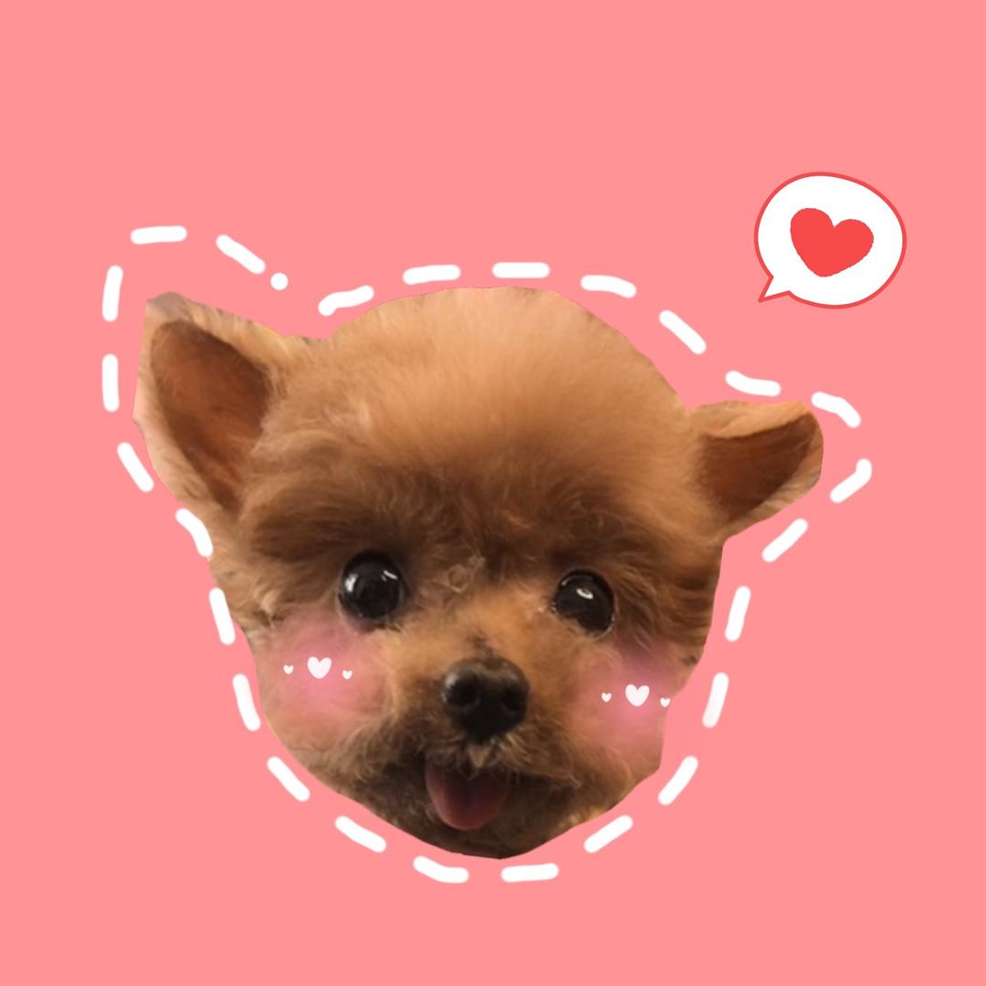 张悠悠🐶