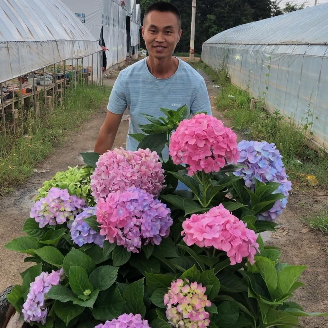 花艺匠雷哥