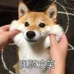 果冻