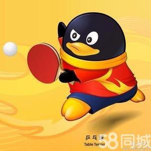 湖南省乒乓球女队