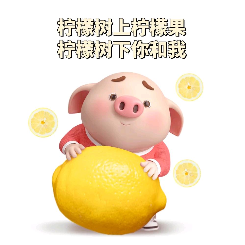 夏苒～