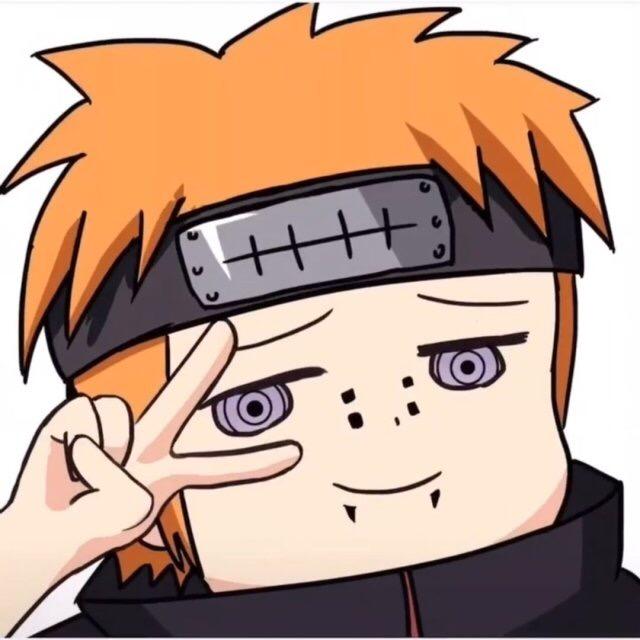 团团的三级猪头