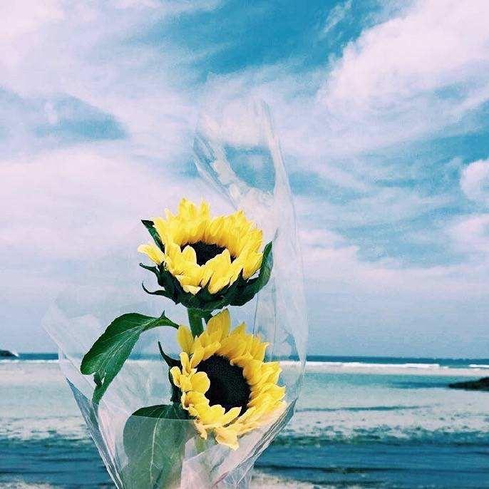 涵宝