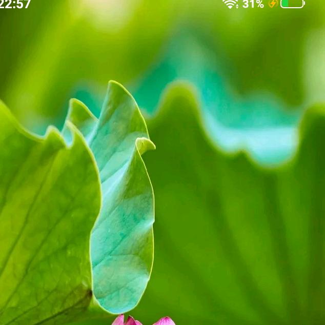 一切会好
