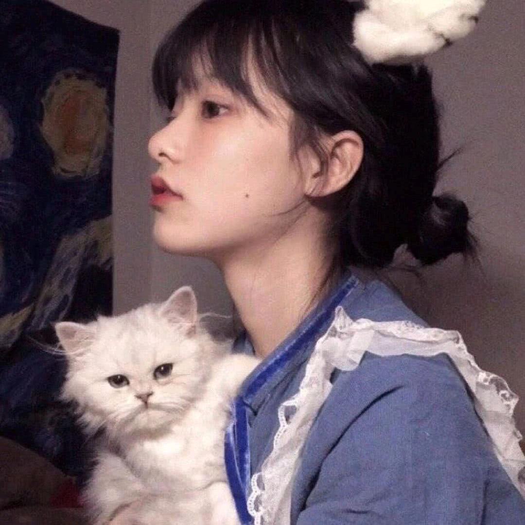 小z.