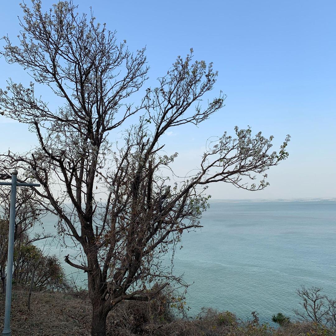 平如水