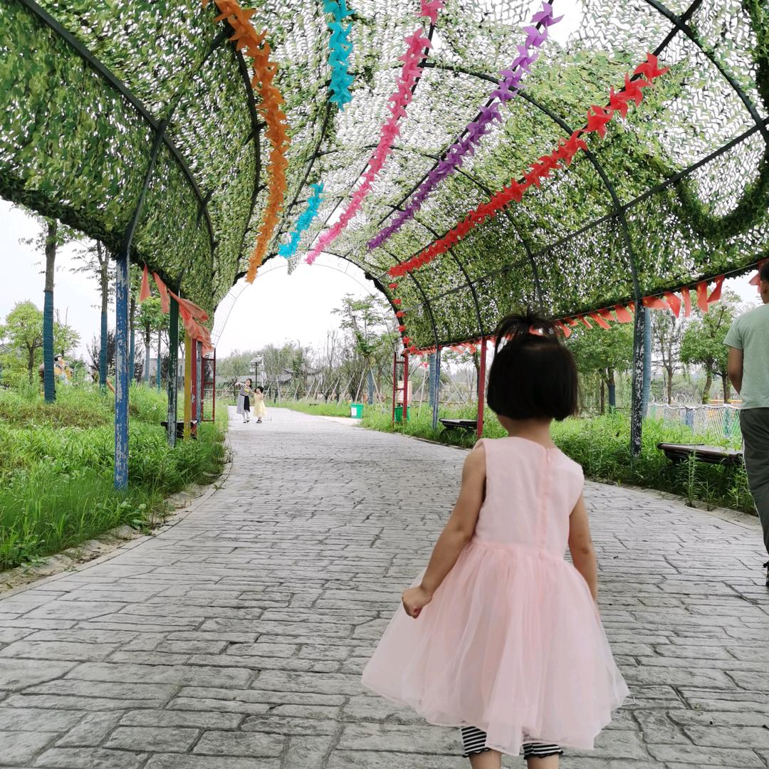 桃子专业贴膜（不要连赞）