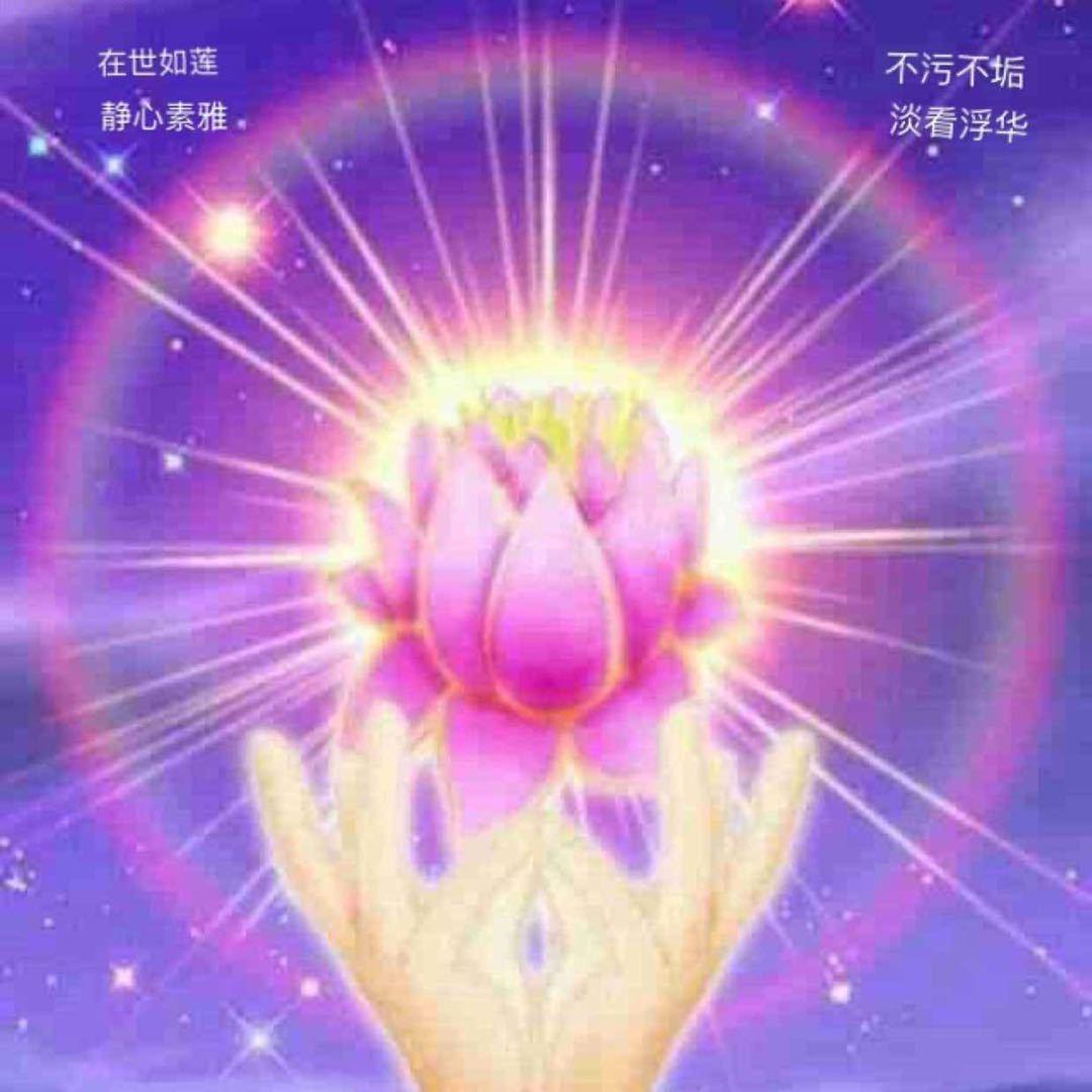 🌹馨🌹