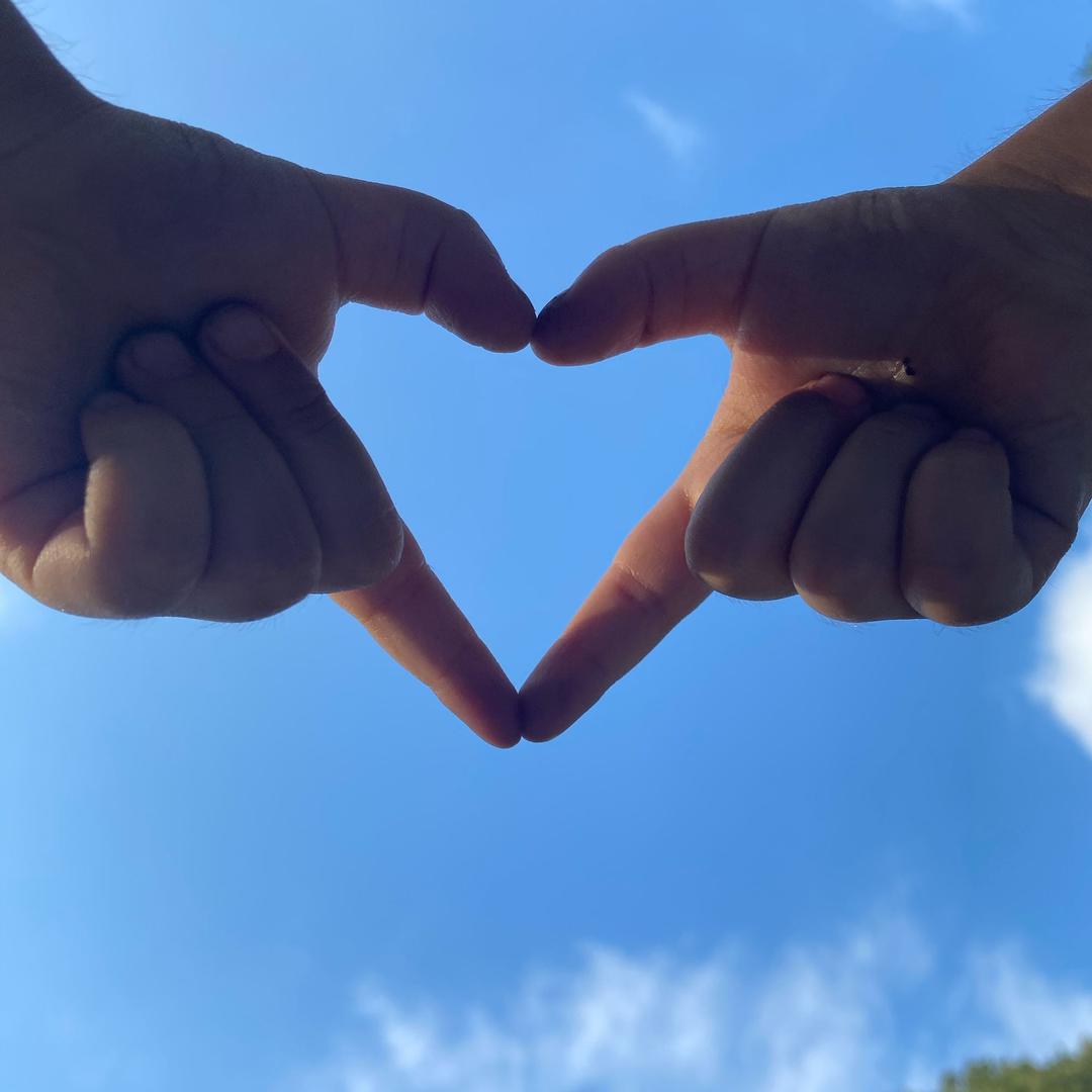 淡写薰衣草的香