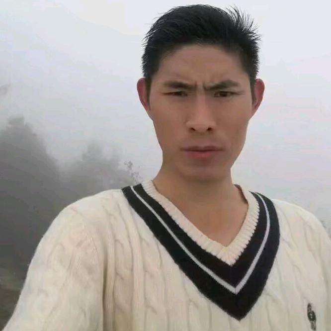 卫斯理