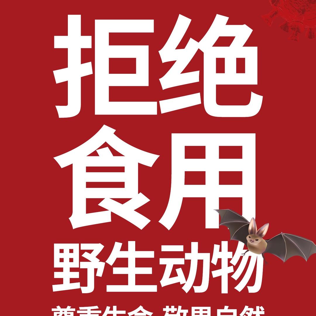 有空出来数月亮