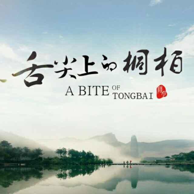 舌尖上的桐柏