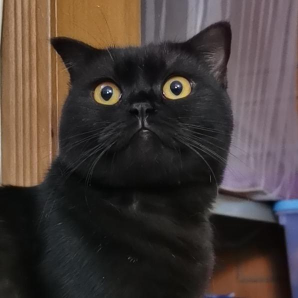 东莞市寮步无言花艺设计工作室