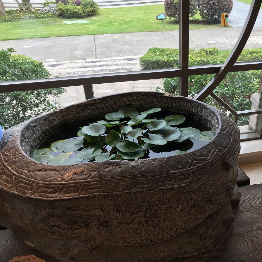 @热爱生活