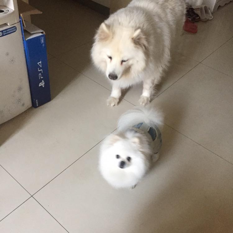 王亮3