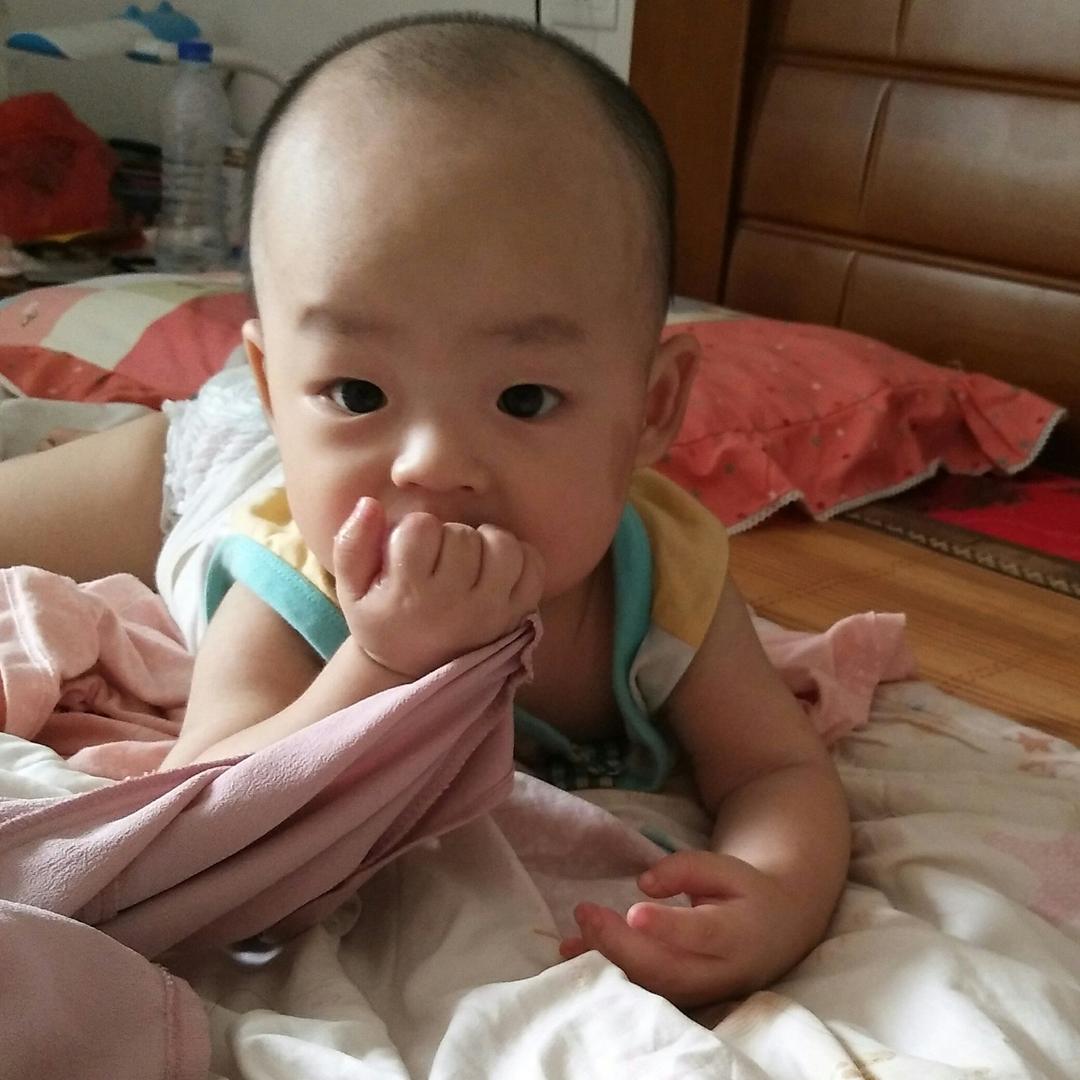 航宝旭宝真可爱