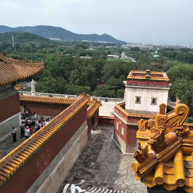 LNN_206051733