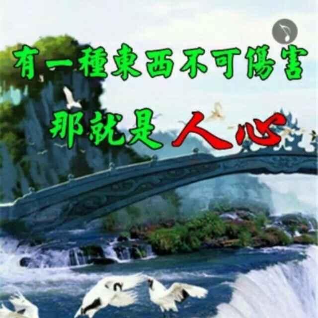 菩提树下恋红尘