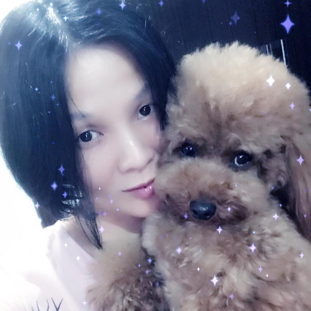 我可爱的毛孩子仔仔