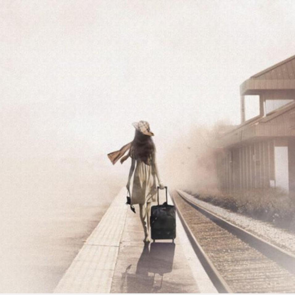 【手心的蔷薇】