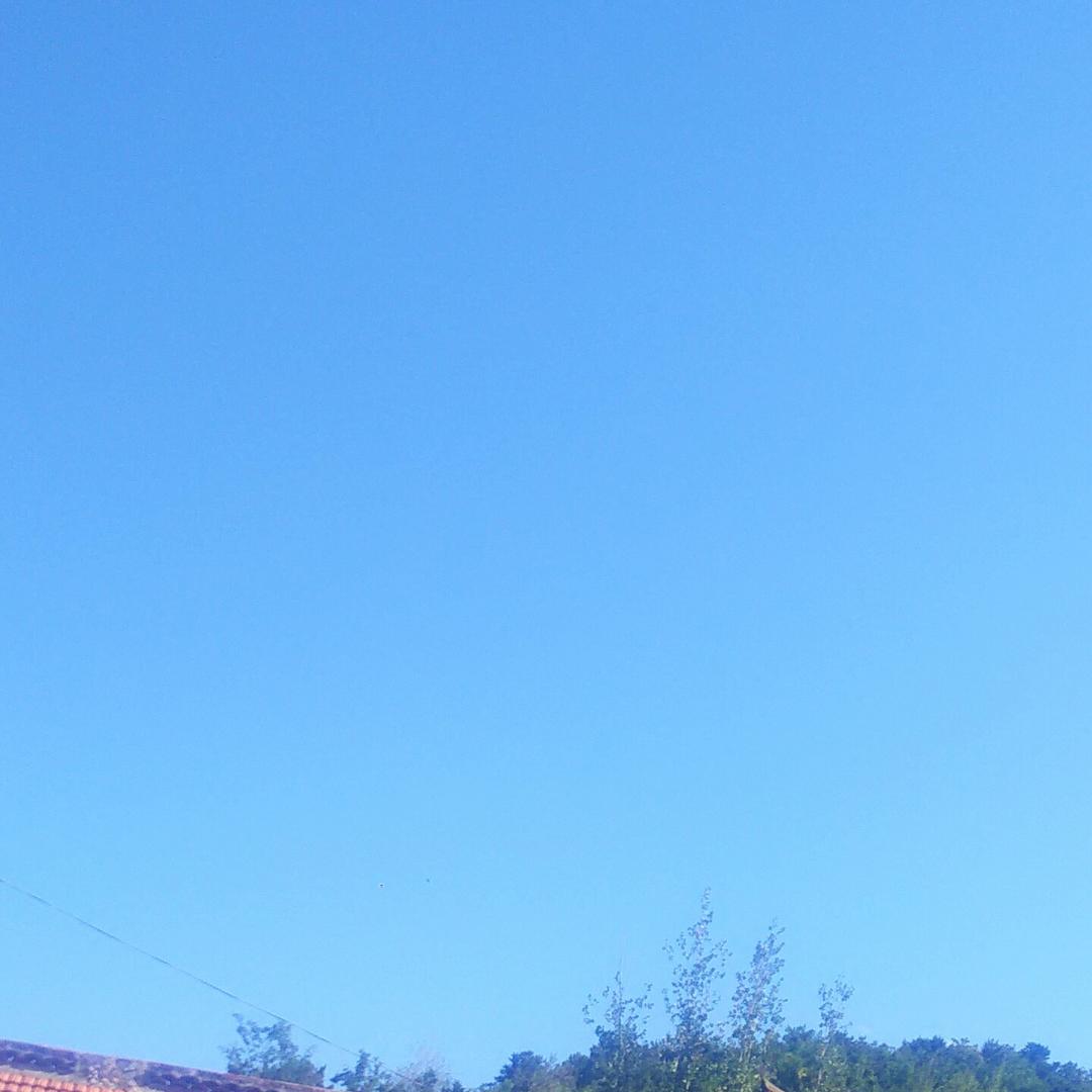 梦翔诚珍
