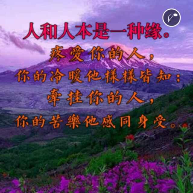 永恒的爱6457688_