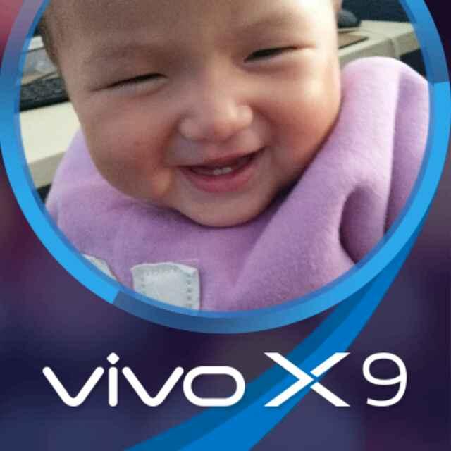 大量收购腊梅花.谢磊通讯