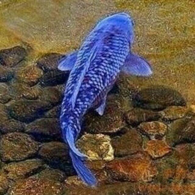 晋离_