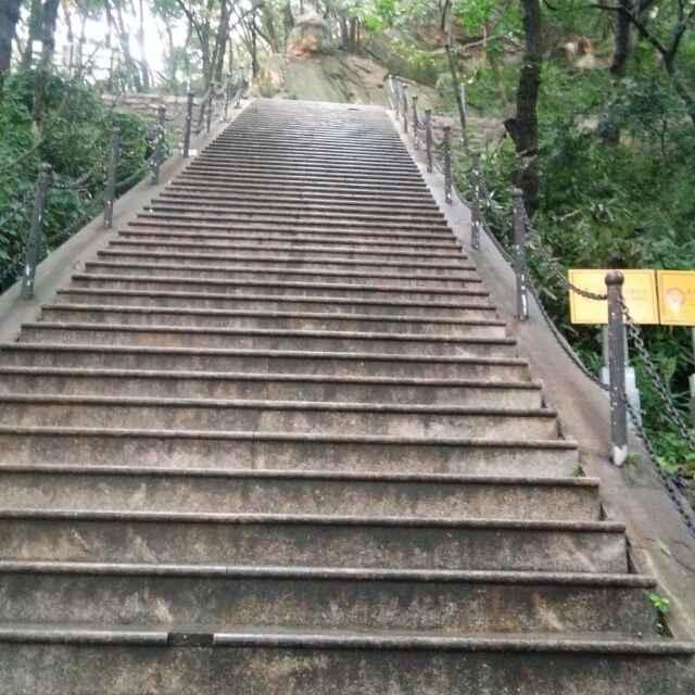 为人民服务_211023217