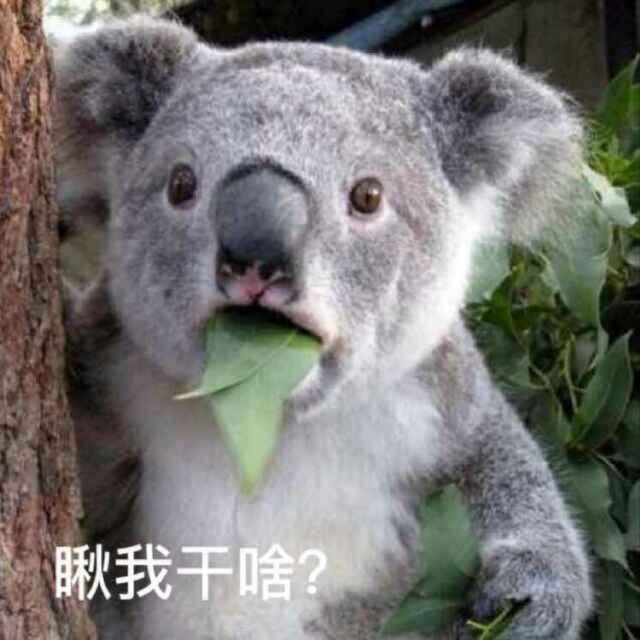 只愿一生嘚瑟