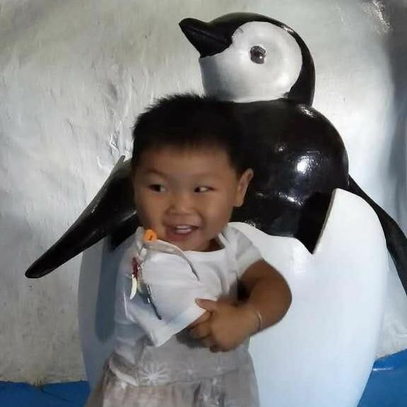 沈杰啊