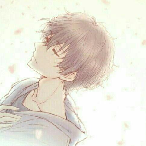 应月