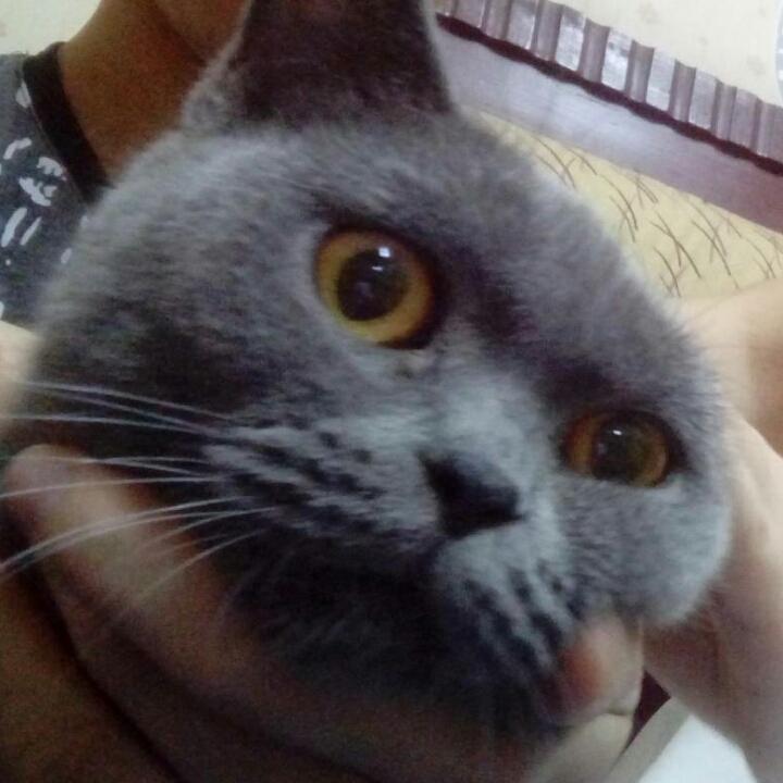 吃饭只吃三分饱