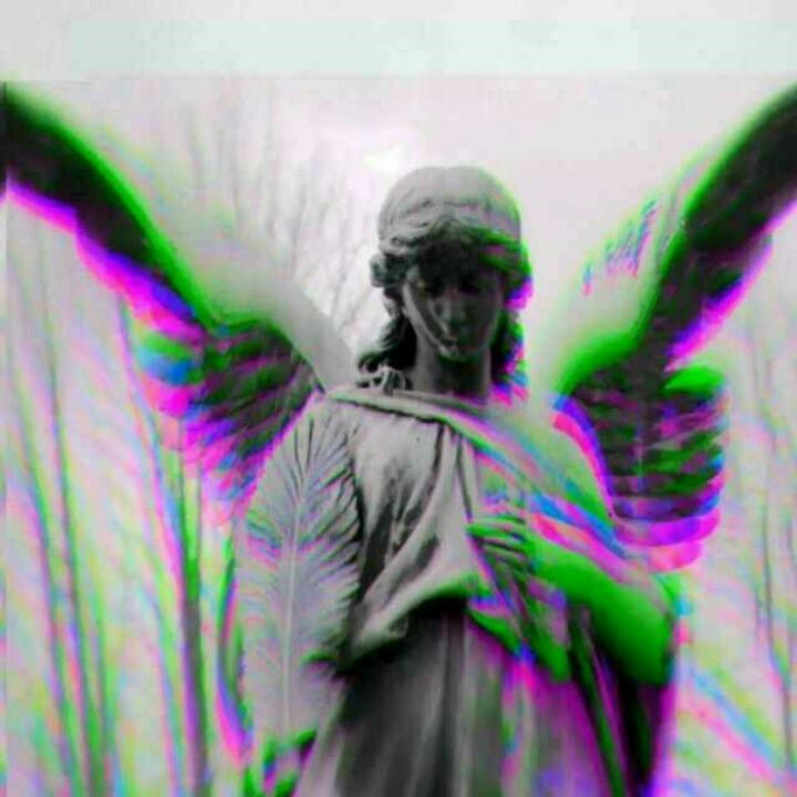 手举罩随风飘