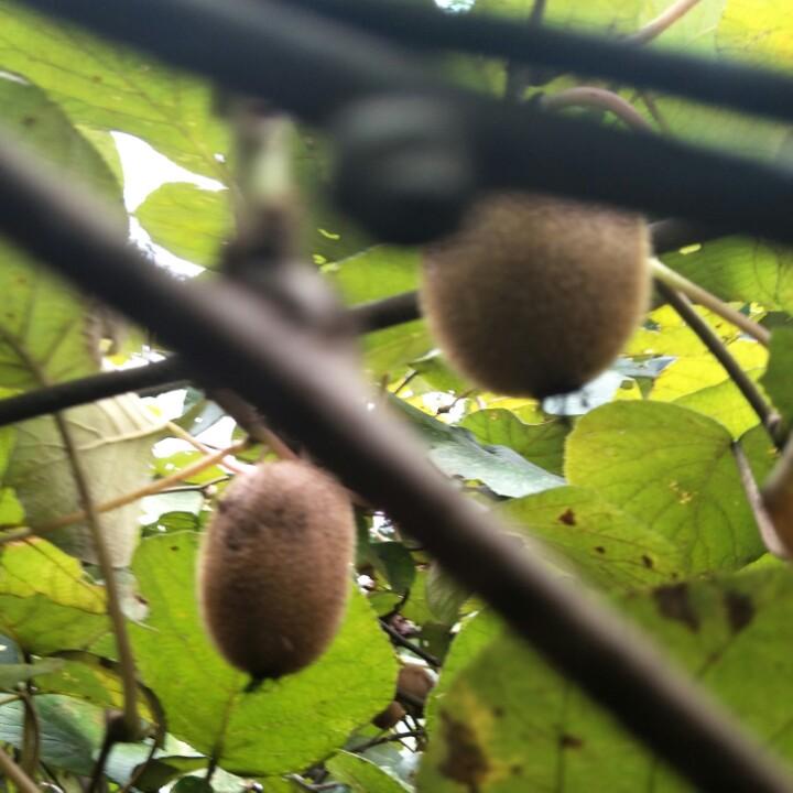 松桃非凡汽修汽车专修