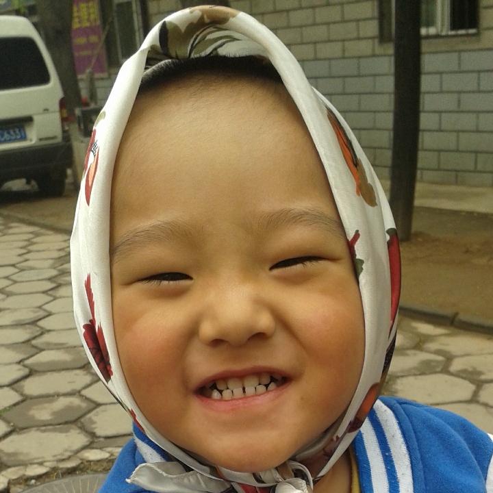哈里赵