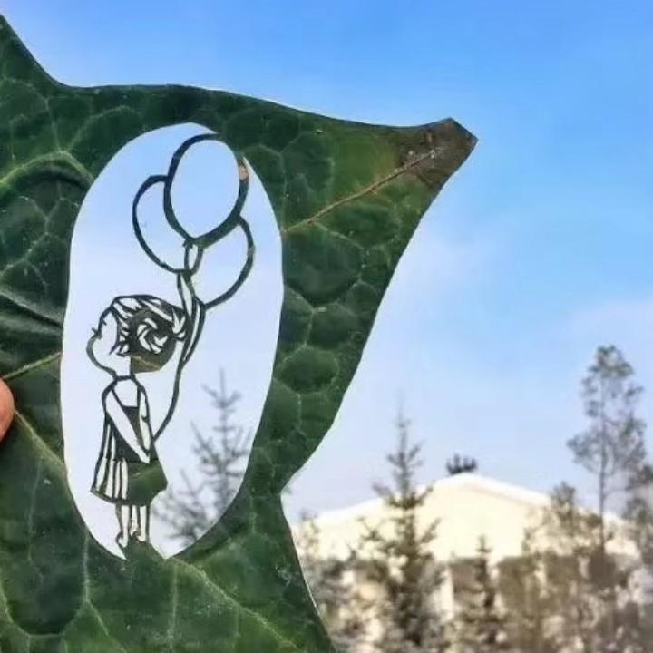 bean豆子