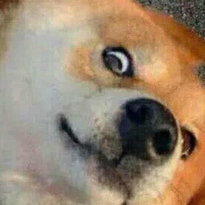 🌈丸子